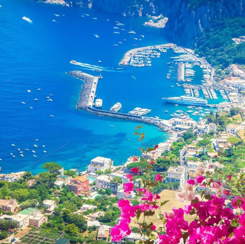 Vista aerea del porto di Marina Grande a Capri incorniciato da fiori di bouganville rosa
