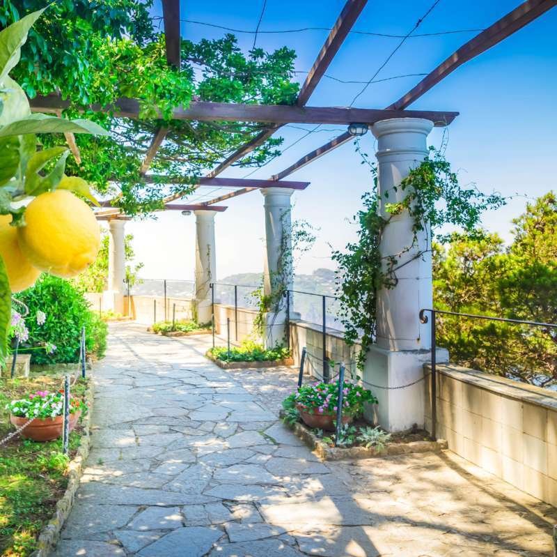 Alberi di limone e pergolato bianco con colonne a Villa San Michele ad Anacapri